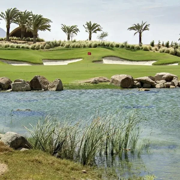 Hyatt Regency Aqaba Ayla - zdjęcie 4