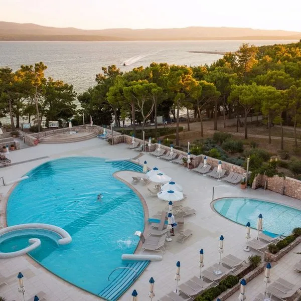 Bluesun Elaphusa - zdjęcie 2