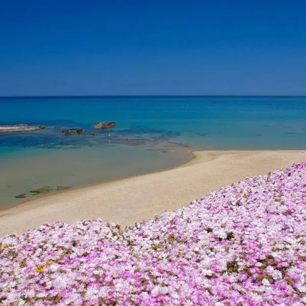 Hotel Residence Ampurias (Lu Bagnu) - zdjęcie 4