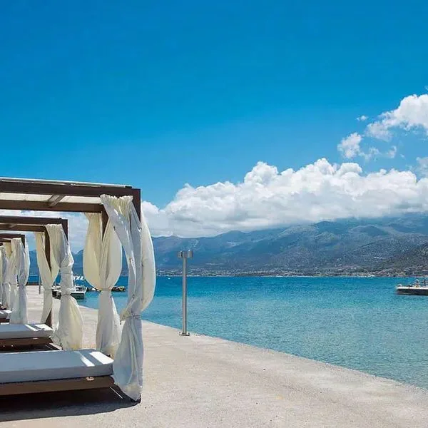 Nana Princess - zdjęcie 2