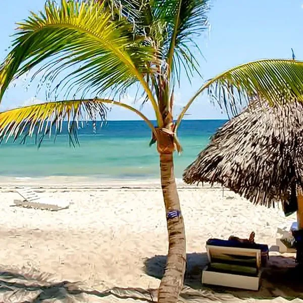 Turtle Bay Beach - zdjęcie 5