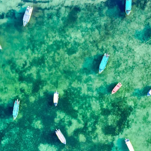 Turtle Bay Beach - zdjęcie 3