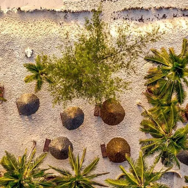 Turtle Bay Beach - zdjęcie 2