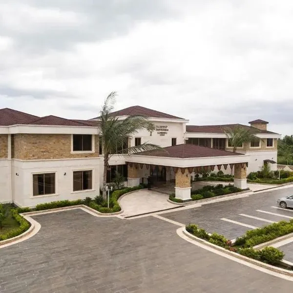 Treetop by Eight Continents Zanbreeze - zdjęcie 2