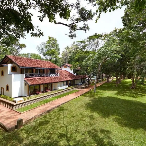 Cinnamon Lodge - zdjęcie 2