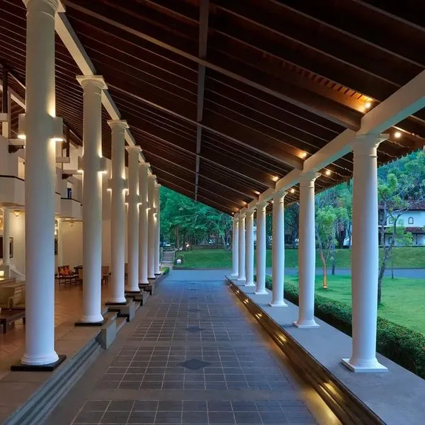 Cinnamon Lodge - zdjęcie 4