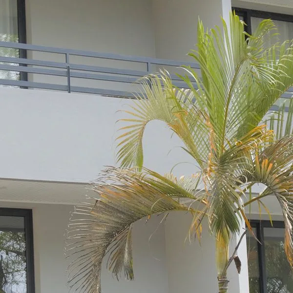 Vitoria Apartamentos by Petit Hotels - zdjęcie 5