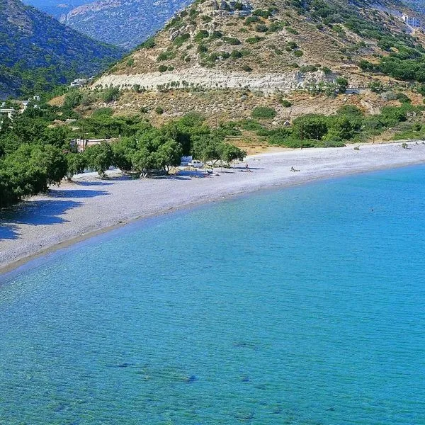 Avra Palm - zdjęcie 3