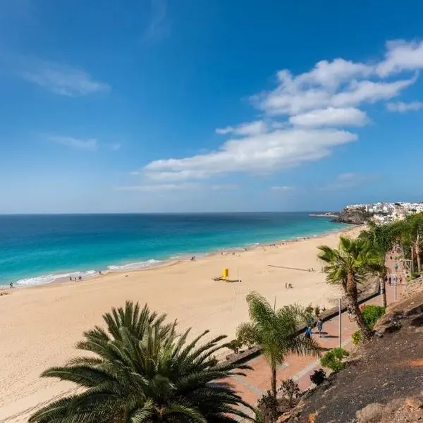 Livvo Garden & Sea Boutique Lodging - zdjęcie 4