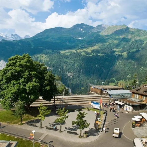 Silberhorn (ex. Best Western Silberhorn) - zdjęcie 3