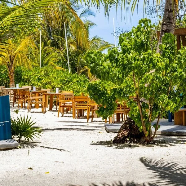 Stone Beach Club - zdjęcie 4