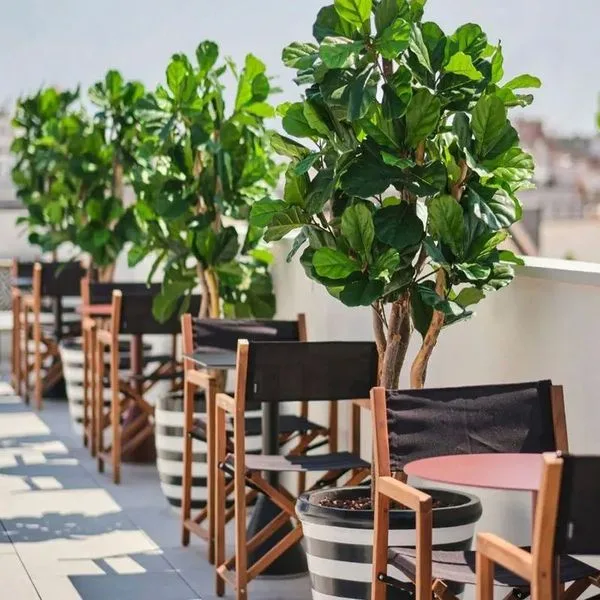 Estimar Valencia - zdjęcie 2