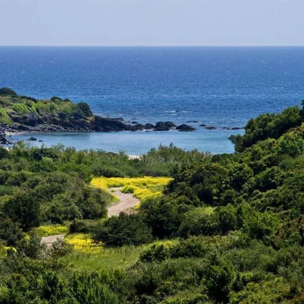 Brancamaria - zdjęcie 4