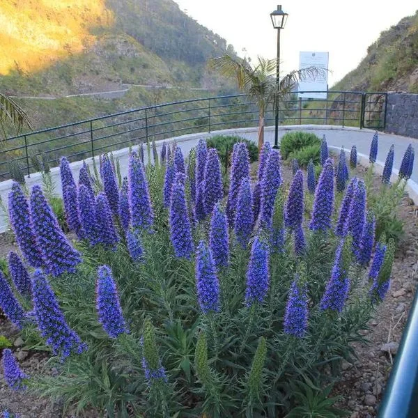 Eira do Serrado - zdjęcie 5