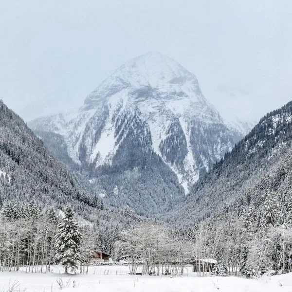 Alpina (Bad Hofgastein) - zdjęcie 4