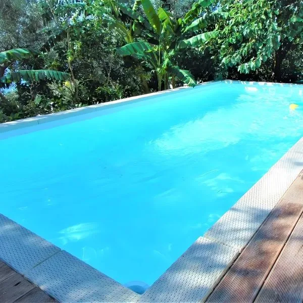 Villa Bella Vista - zdjęcie 3