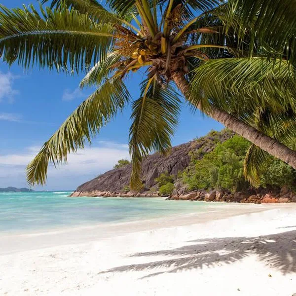 L' Archipel - zdjęcie 5