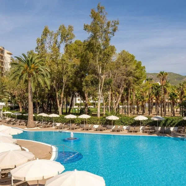 Sol Palmanova (ex. Mirlos Tordos) - zdjęcie 3