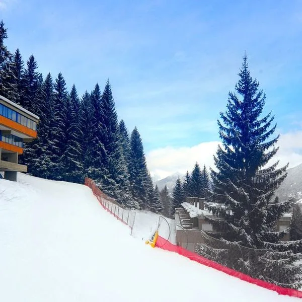 Lores 2 - zdjęcie 3