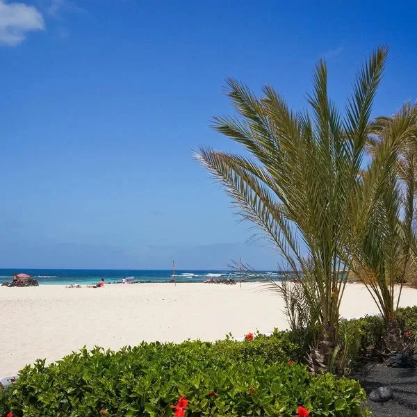 Cotillo Lagos - zdjęcie 4