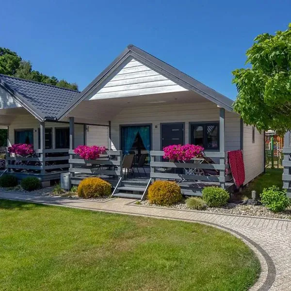 Balticus - zdjęcie 3