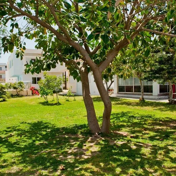 Aparthotel Thodorou - zdjęcie 4