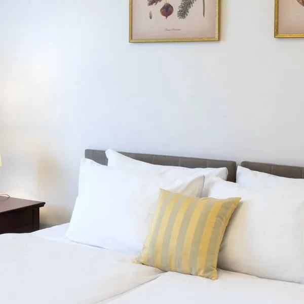 Klub Sosnowy - zdjęcie 5