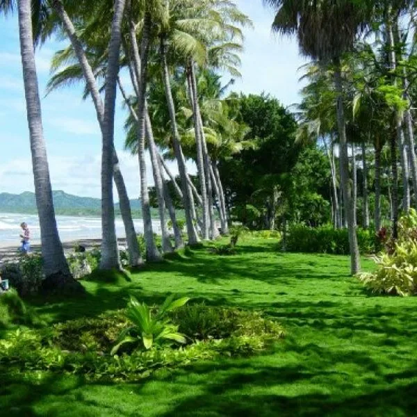 Tamarindo Diria Beach Resort