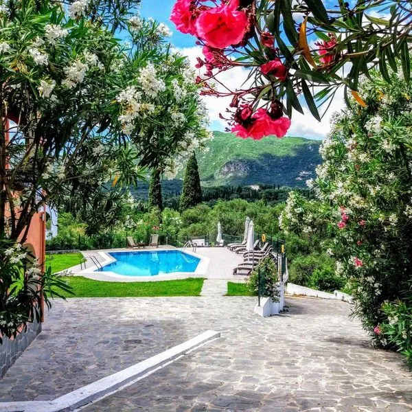 Ziogas Luxury Apartments - zdjęcie 2