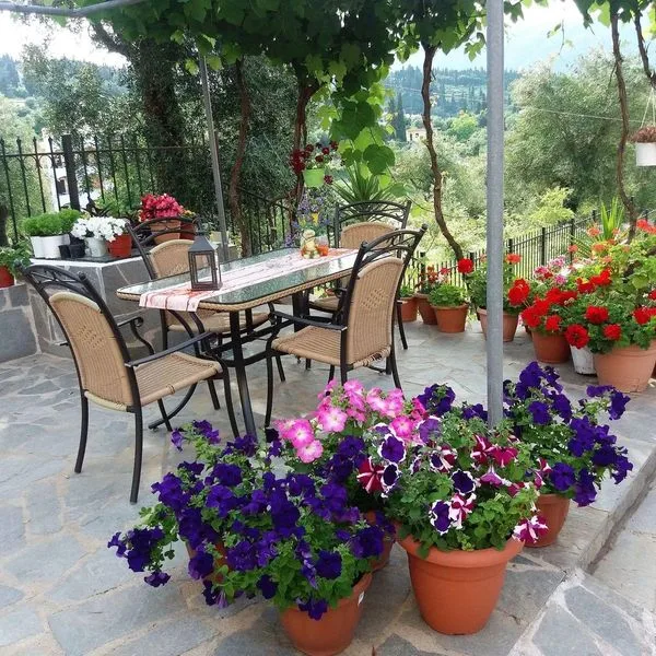 Ziogas Luxury Apartments - zdjęcie 3