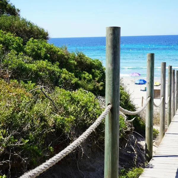 Seth 55 - zdjęcie 3