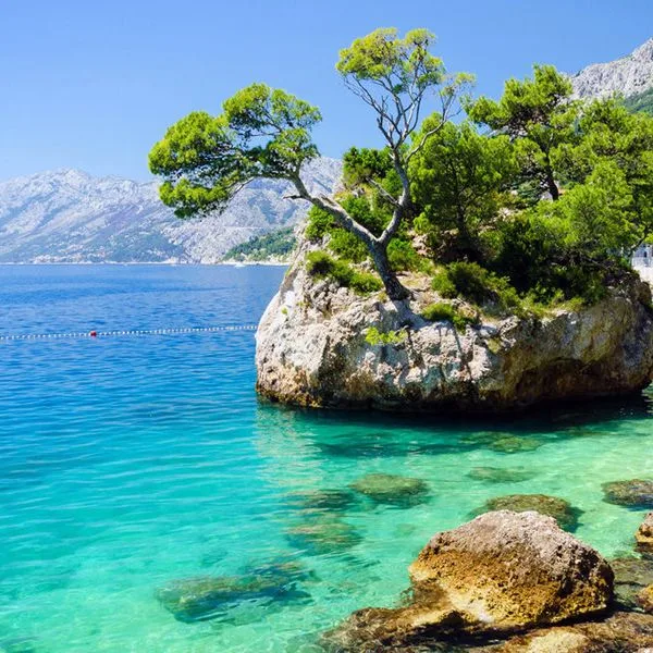 Bluesun Mala Berulia - zdjęcie 2