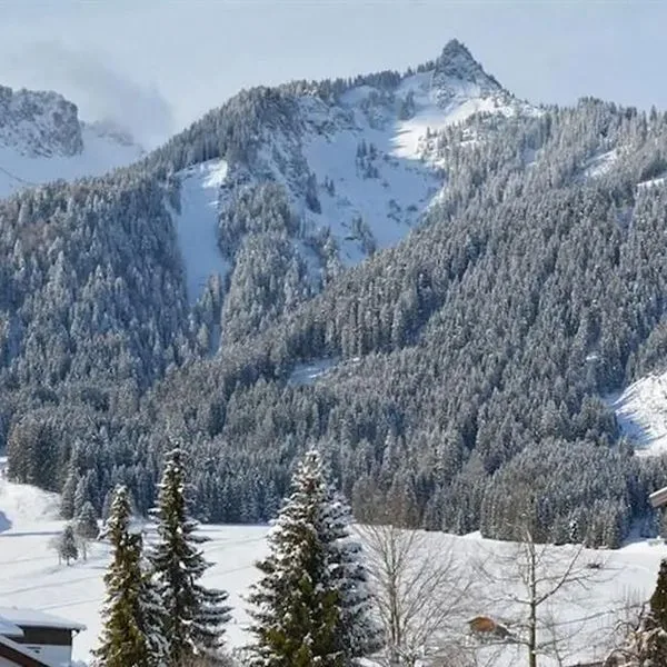 Haus Dreer - zdjęcie 2