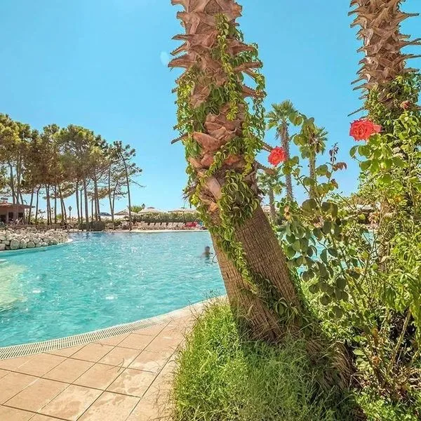 Dolce Vita (Golem) - zdjęcie 2