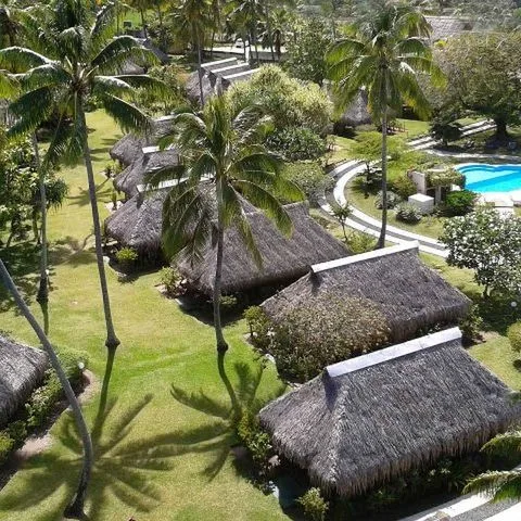 Hibiscus (Moorea) - zdjęcie 2