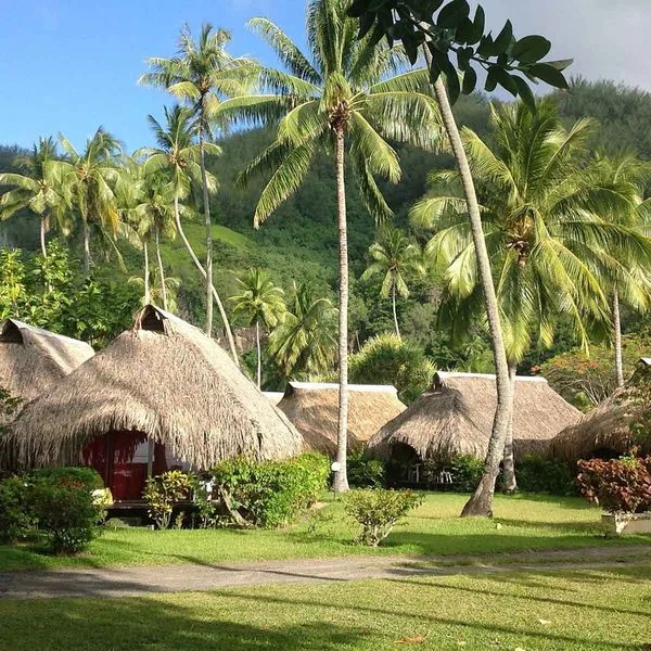 Hibiscus (Moorea) - zdjęcie 3