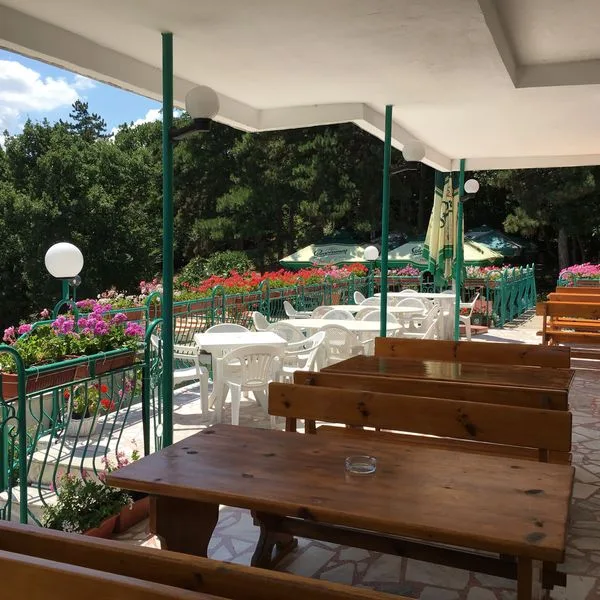 Zora (Sunny Beach) - zdjęcie 4