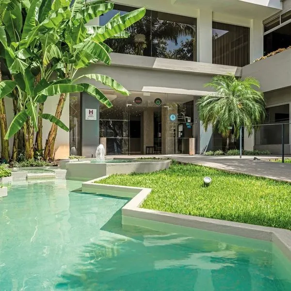 Girassol - zdjęcie 4