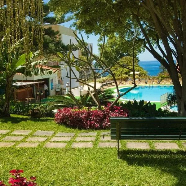 Girassol - zdjęcie 5