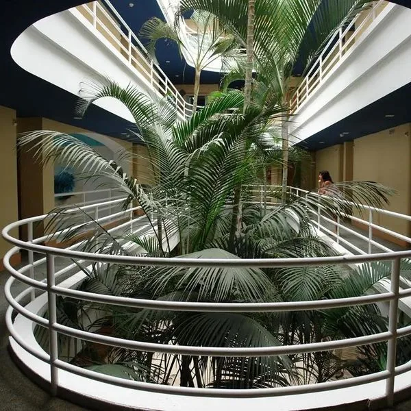 IFA Altamarena - zdjęcie 4