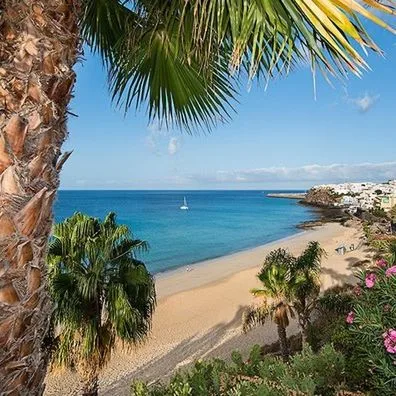 IFA Altamarena - zdjęcie 2