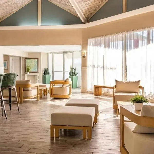 Palm Tree Club - zdjęcie 2