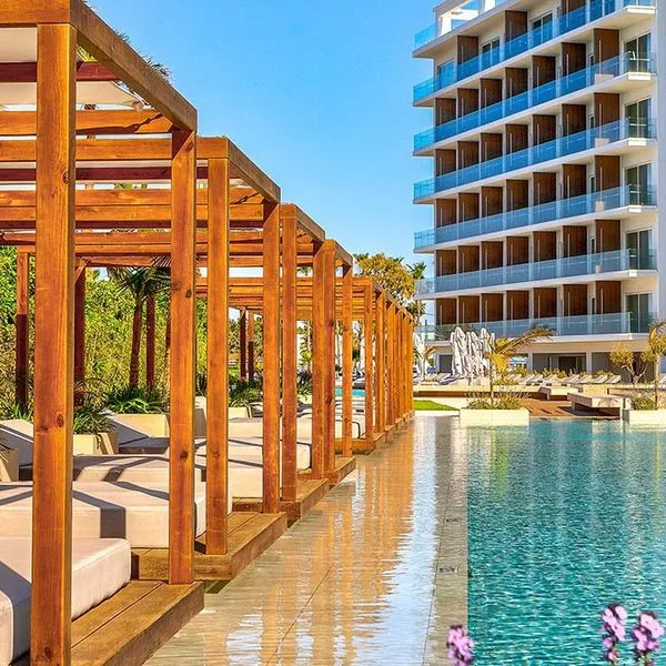 Chrysomare - zdjęcie 3