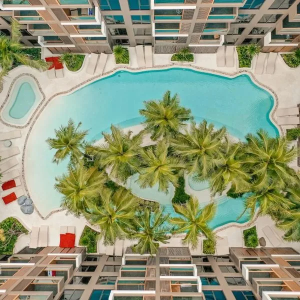 The Marin - zdjęcie 3