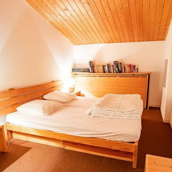 Residence Les Arolles - zdjęcie 2