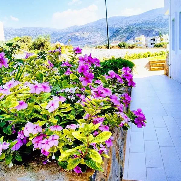 Casa Malena - zdjęcie 3