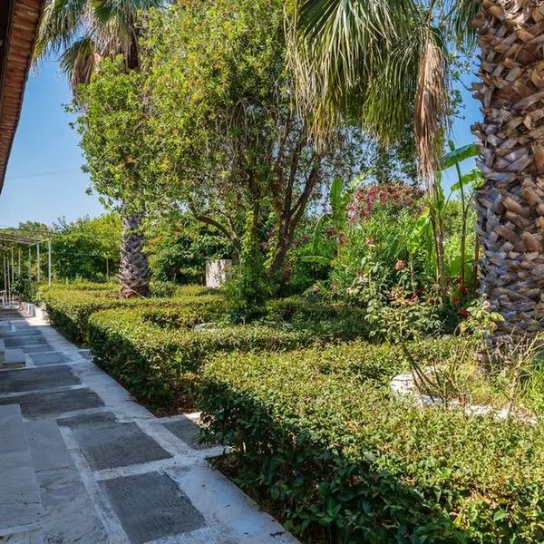 Roussa's - zdjęcie 4