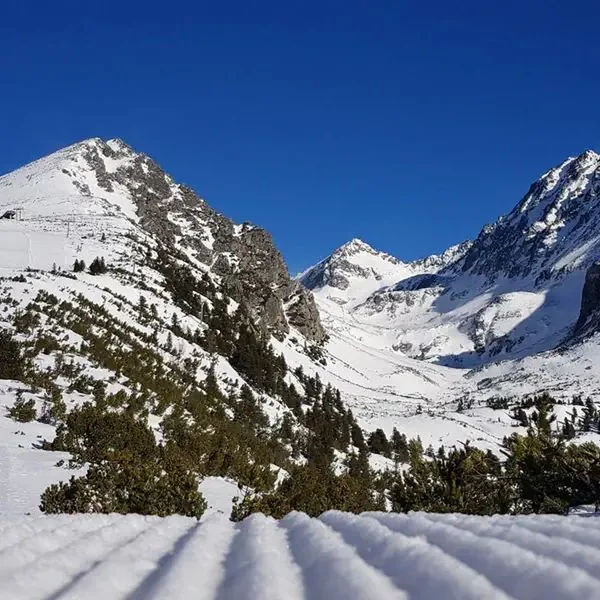 Crocus (Strbske Pleso) - zdjęcie 3