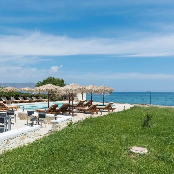 Musela Studios - zdjęcie 5