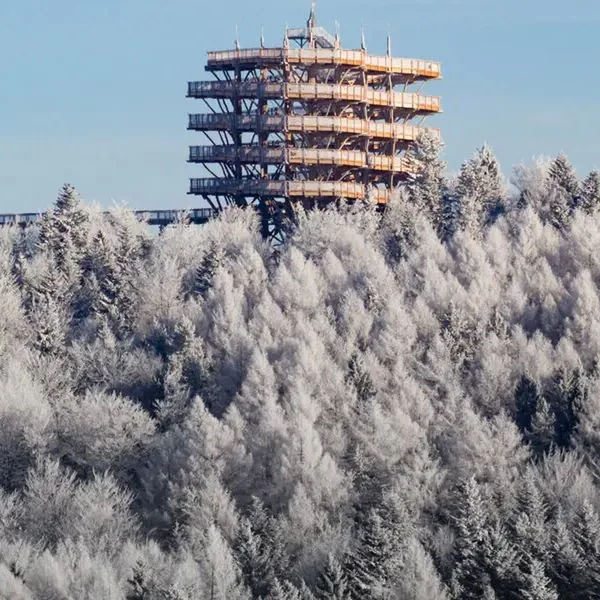 Ośrodek Wypoczynkowy Evita - zdjęcie 3